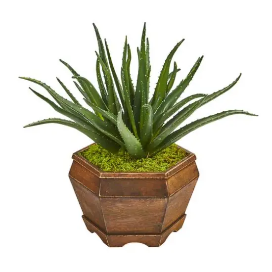 17" Aloe Artificial Plant in Decorative Planter {1}