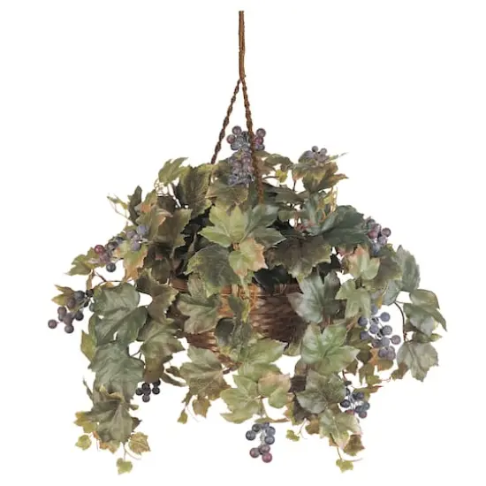 22" Grape Leaf in Hanging Basket {1}
