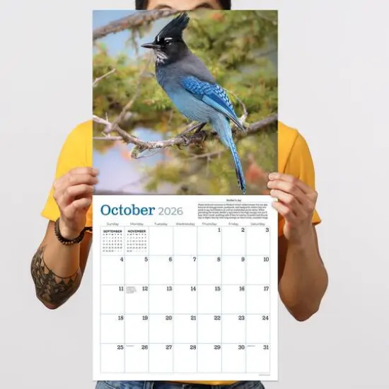 2026 Backyard Birds Wall Calendar {5}