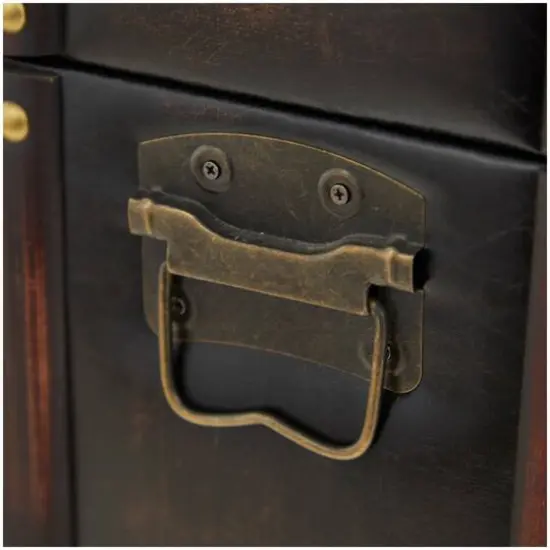 Dark Brown Faux Leather Studded Trunk with Latches & Handles Set {12}