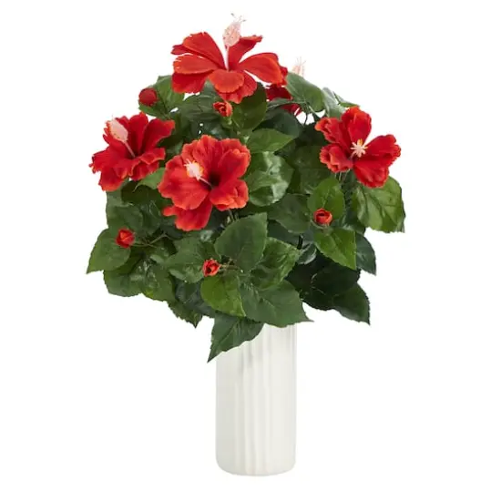 20" Hibiscus Plant in White Planter {1}