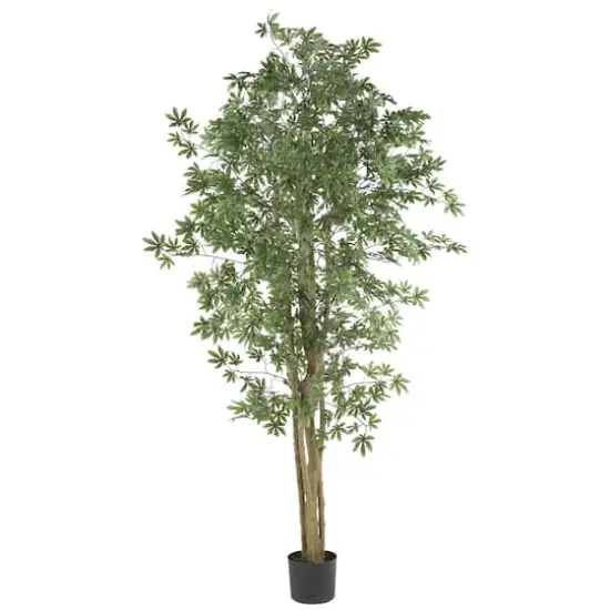 6ft. Potted Japanese Maple Silk Tree {1}