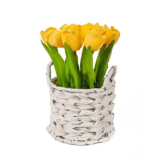 10" Tulip Bouquet in White Basket Orange {2}
