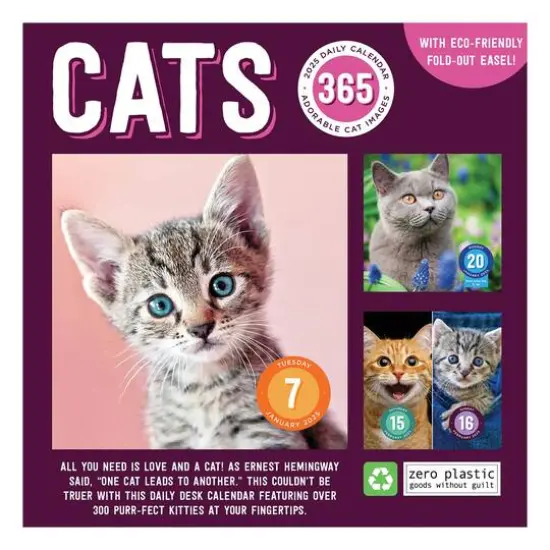 TF Publishing 2025 Cat A Day Daily Desktop Calendar {3}