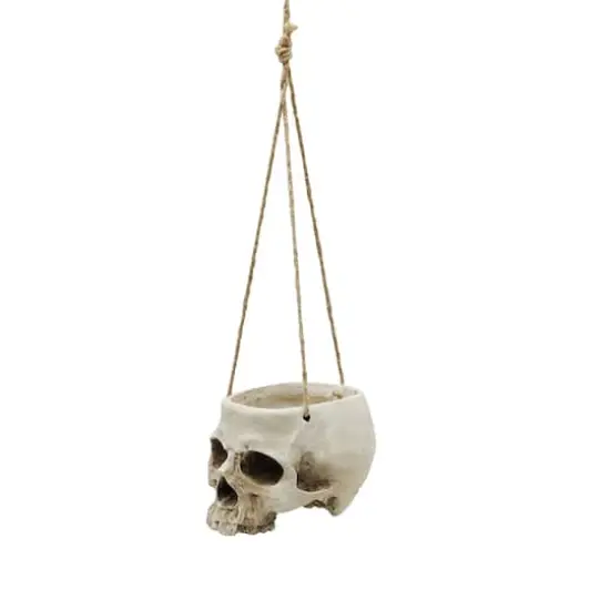 Large Skull Hanging Planter by Ashland&reg; {1}