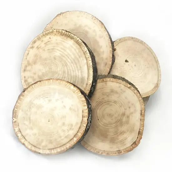 Wilson&reg; Enterprises Small Basswood Ornament Seconds, 50ct. {4}
