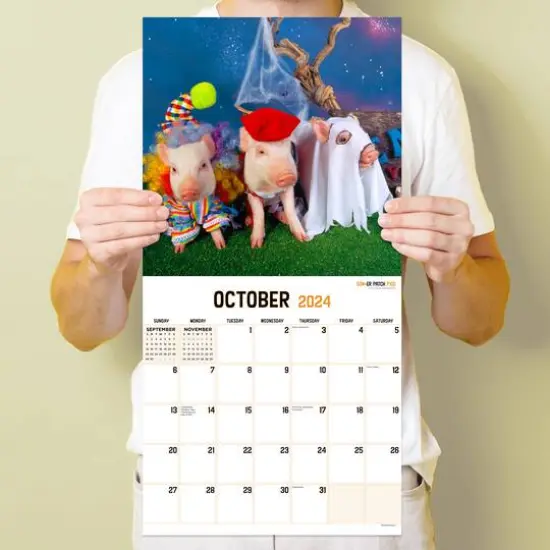 TF Publishing 2024 Playful Pigs Wall Calendar {6}