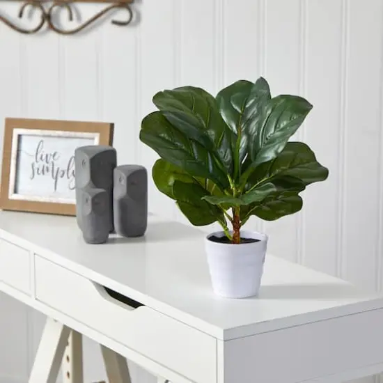 11" Fiddle Leaf Fig Plant in Decorative White Planter {4}