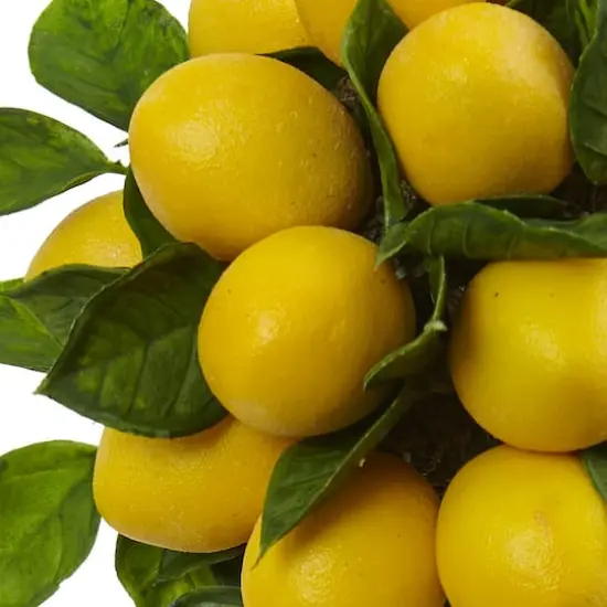 18" Potted Lemon Ball Topiary Arrangement  {3}