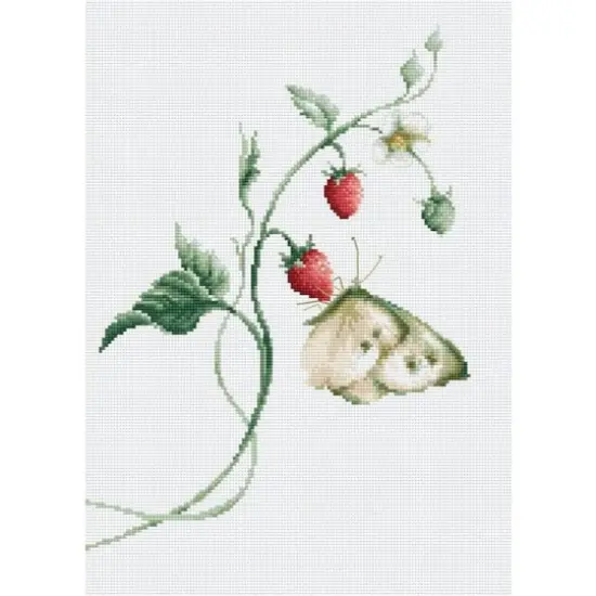 Luca-s Aroma Of Summer Counted Cross Stitch Kit {1}