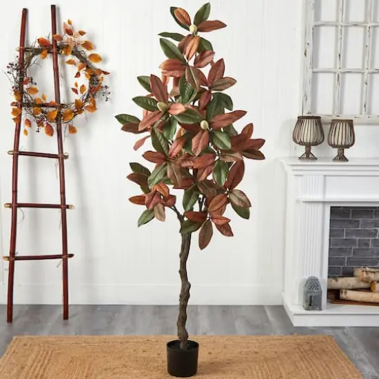 6ft. Potted Fall Magnolia Tree {3}