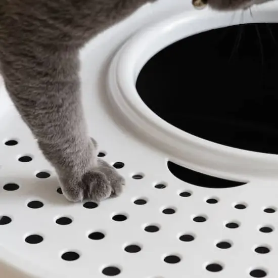 Iris&reg;Large Top Entry Cat Litter Box with Scoop, Black {4}