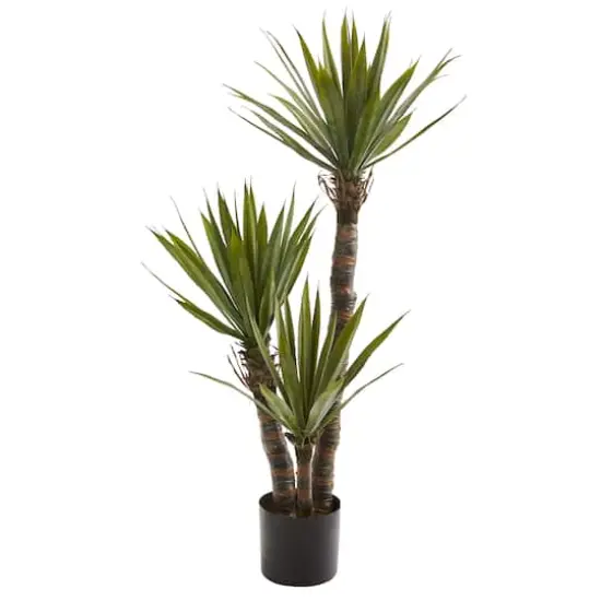 4ft. Potted Yucca Tree {1}
