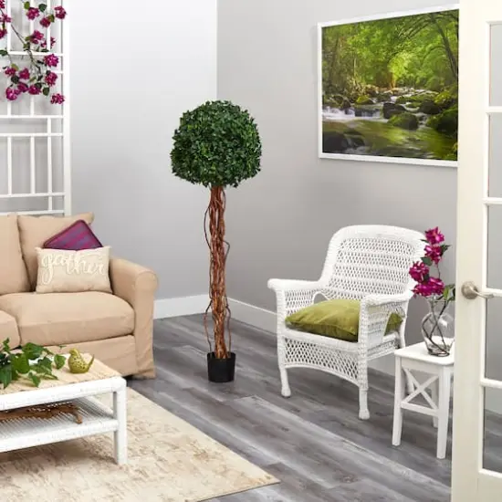 5.5ft. Potted English Ivy Ball Topiary Tree {5}