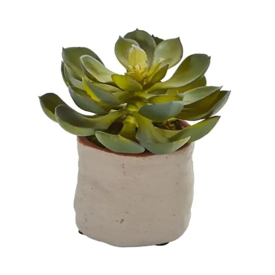 6" Potted Mixed Succulent Plants, 4ct. {3}