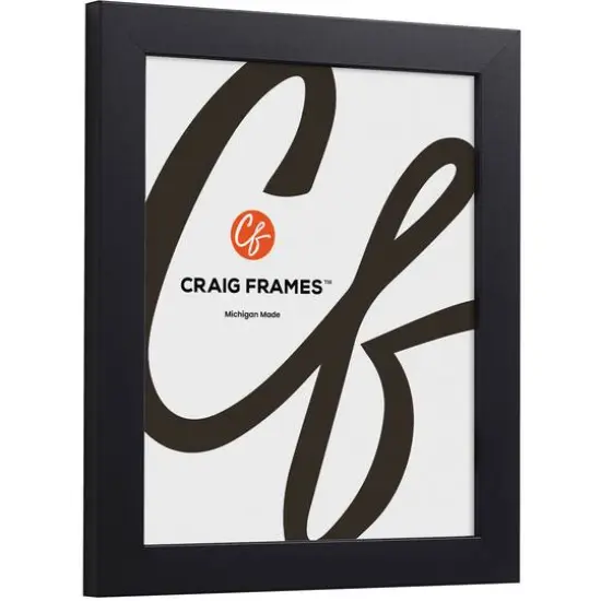 2 Pack Craig Frames Essentials Modern Black Picture Frame {3}