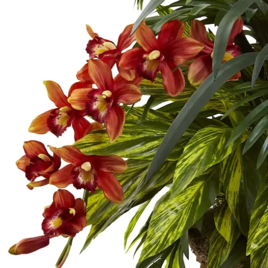 3ft. Mixed Tropical Greenery & Orchid Hanging Basket {3}