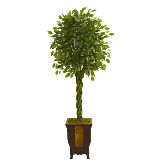 6ft. Braided Ficus Tree in Decorative Planter {1}