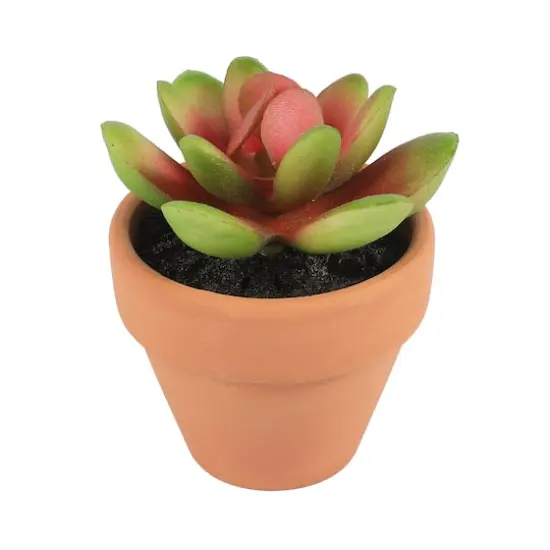 Mini Premade Succulents in Terra Cotta Pots, 6ct. by Ashland&reg; Dark Green {8}