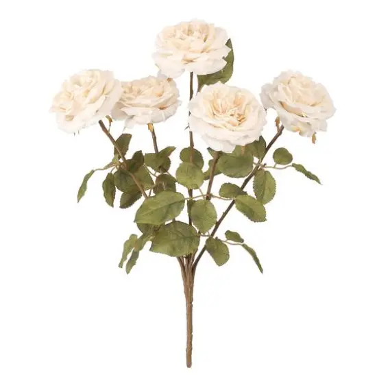 19" White Rose Deluxe Bush by Ashland&reg; {1}