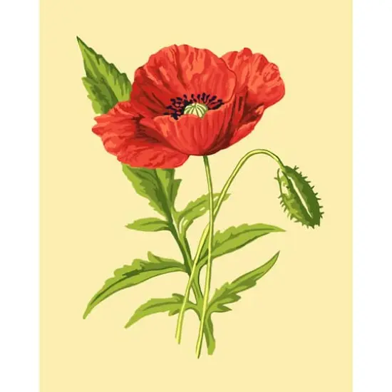 8" x 10" Vintage Poppy Paint-by-Number Kit with Wood Display Hanger by Artist's Loft&reg; {1}