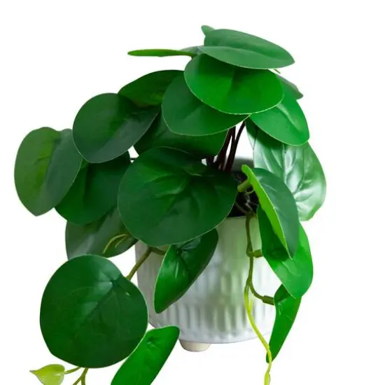 8" Mixed Greenery in Ceramic Planters Set {10}