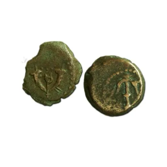 The King Herod Ancient Coin Collection {5}
