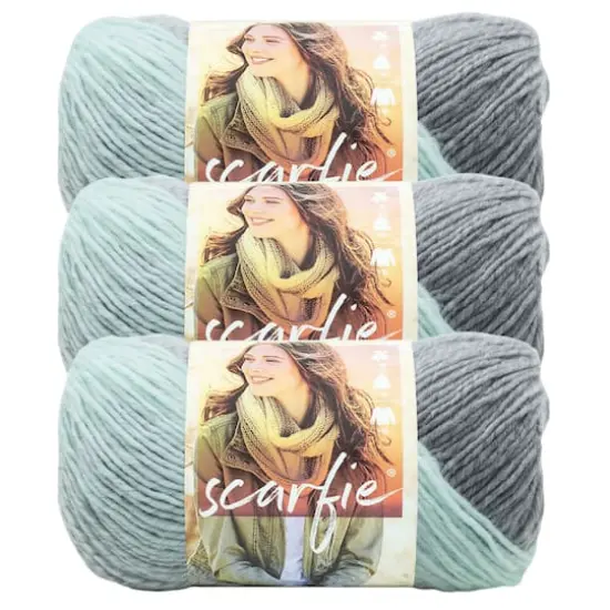 3 Pack Lion Brand&reg; Scarfie&reg; Yarn Mint/Silver {1}