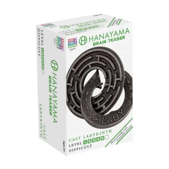 Hanayama Level 5 Cast Labyrinth Puzzle {3}