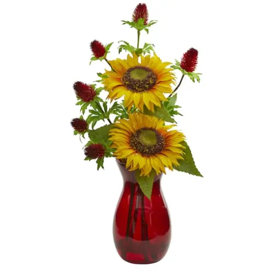 20" Sunflower & Red Thistle Arrangement in Red Vase {1}