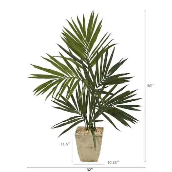 4ft. Kentia Palm Tree in Country White Planter {3}