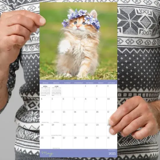 TF Publishing 2025 Kittens Mini Calendar {6}