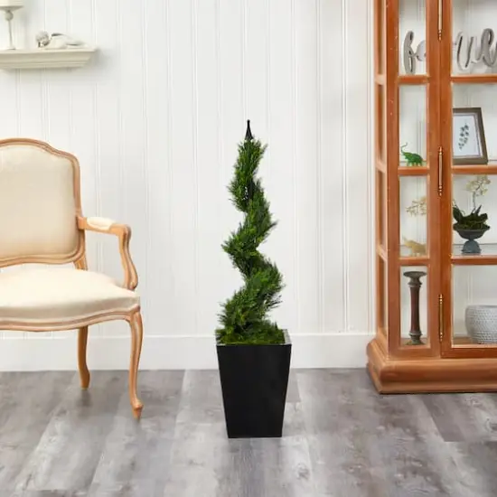 3.6ft. Spiral Cypress Topiary in Black Metal Planter {4}