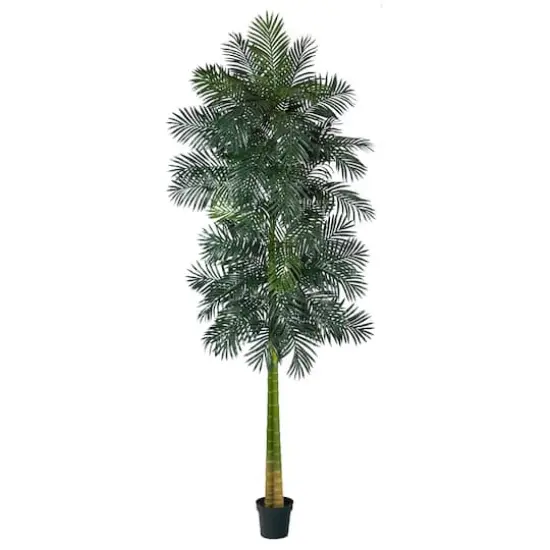 10ft. Potted Double Stalk Golden Cane Palm Tree {1}