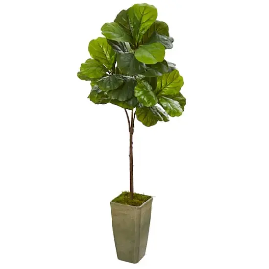 5.5ft. Fiddle Leaf Artificial Tree in Planter {1}