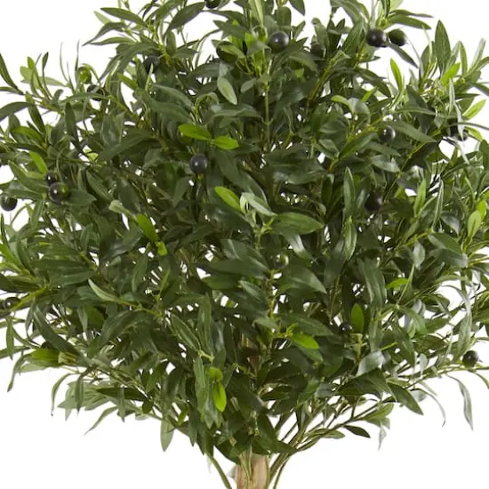 5ft. Olive Topiary Tree in Sand Stone Planter {3}