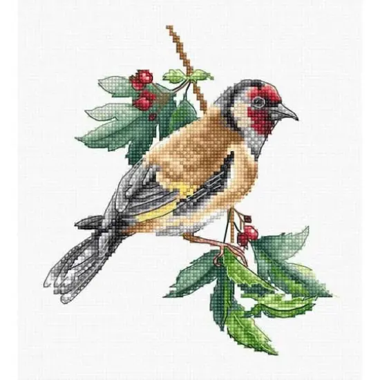 Luca-s Goldfinch Bird Counted Cross Stitch Kit {1}