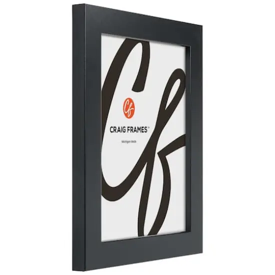 Craig Frames Bauhaus Mystic Satin Black Picture Frame {5}