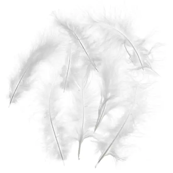 John Bead 4"-6" Marabou Feathers White {3}