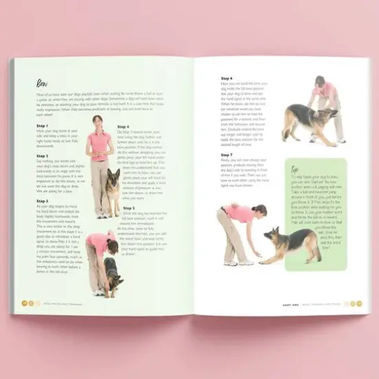 Hinkler Dog Pet Care Tricks & Training Box Set {6}