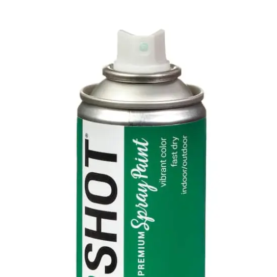 COLORSHOT&reg; Premium Gloss Spray Paint Cash {5}
