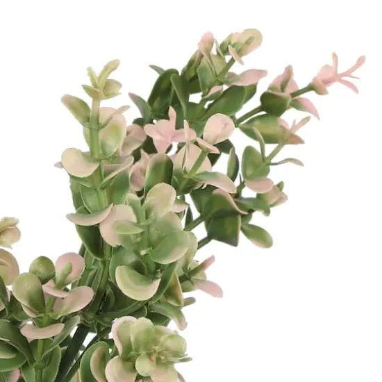 19" Pink Boxwood Bush by Ashland&reg; {3}
