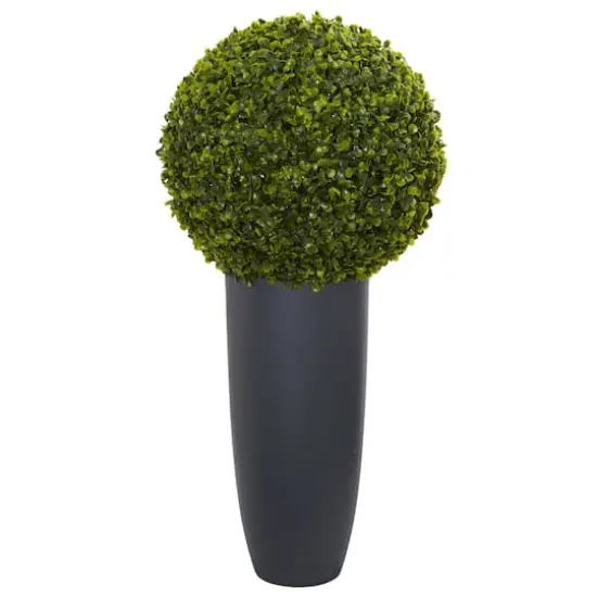 2.5ft. Boxwood Topiary Plant in Gray Cylinder Planter {1}