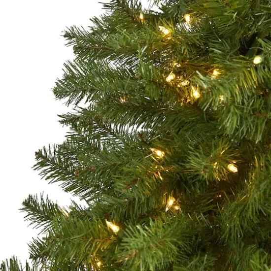 7ft. Pre-Lit Springfield Artificial Christmas Tree, Clear LED Lights {4}