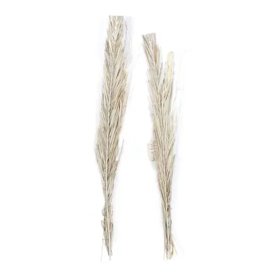 Set of 2" Brown Wood Natural Foliage, 7" x 56" {7}