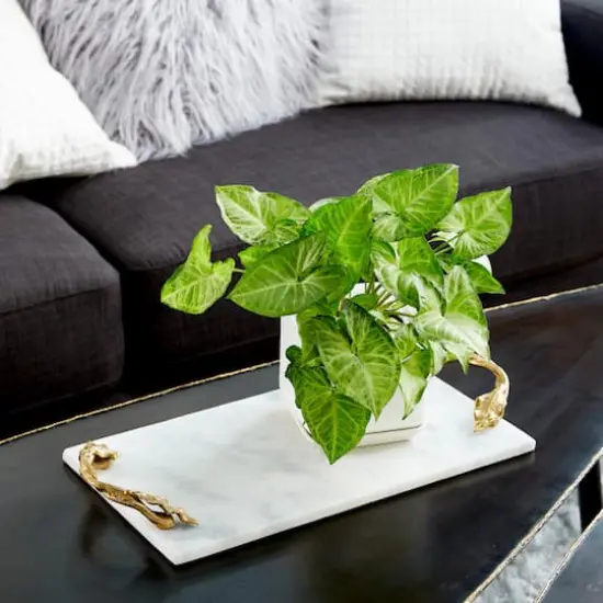 21" White Marble Natural Serving Tray {6}