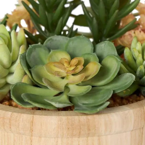 7" Succulent Artificial Plant with Natural Pot {7}