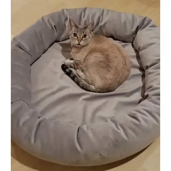 Royal Pet Bed Small Washable Luxury Velvet Dog Bed Ash {4}