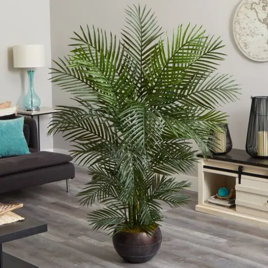 5.5ft. Areca Palm Tree in Brown Planter {5}
