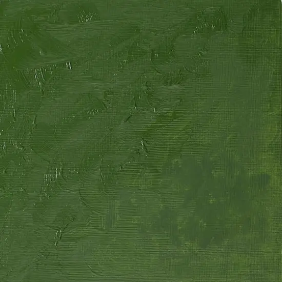 Winsor & Newton™ Winton 6.75oz. Oil Colour™ Paint Oxide Of Chromium {4}